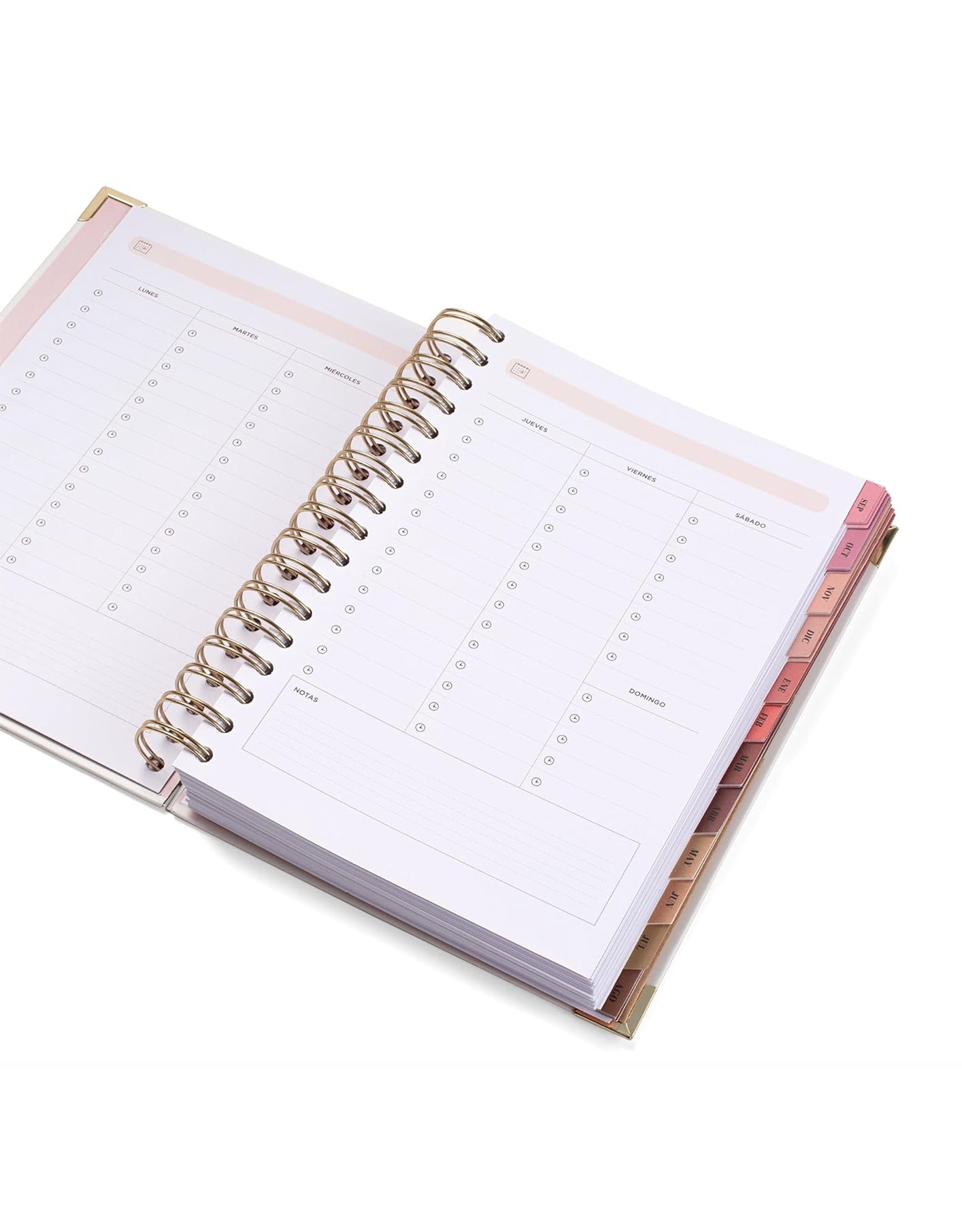 Diario Agenda Office 2025-2026 – “La Vita è ORA” Mr.Wonderful