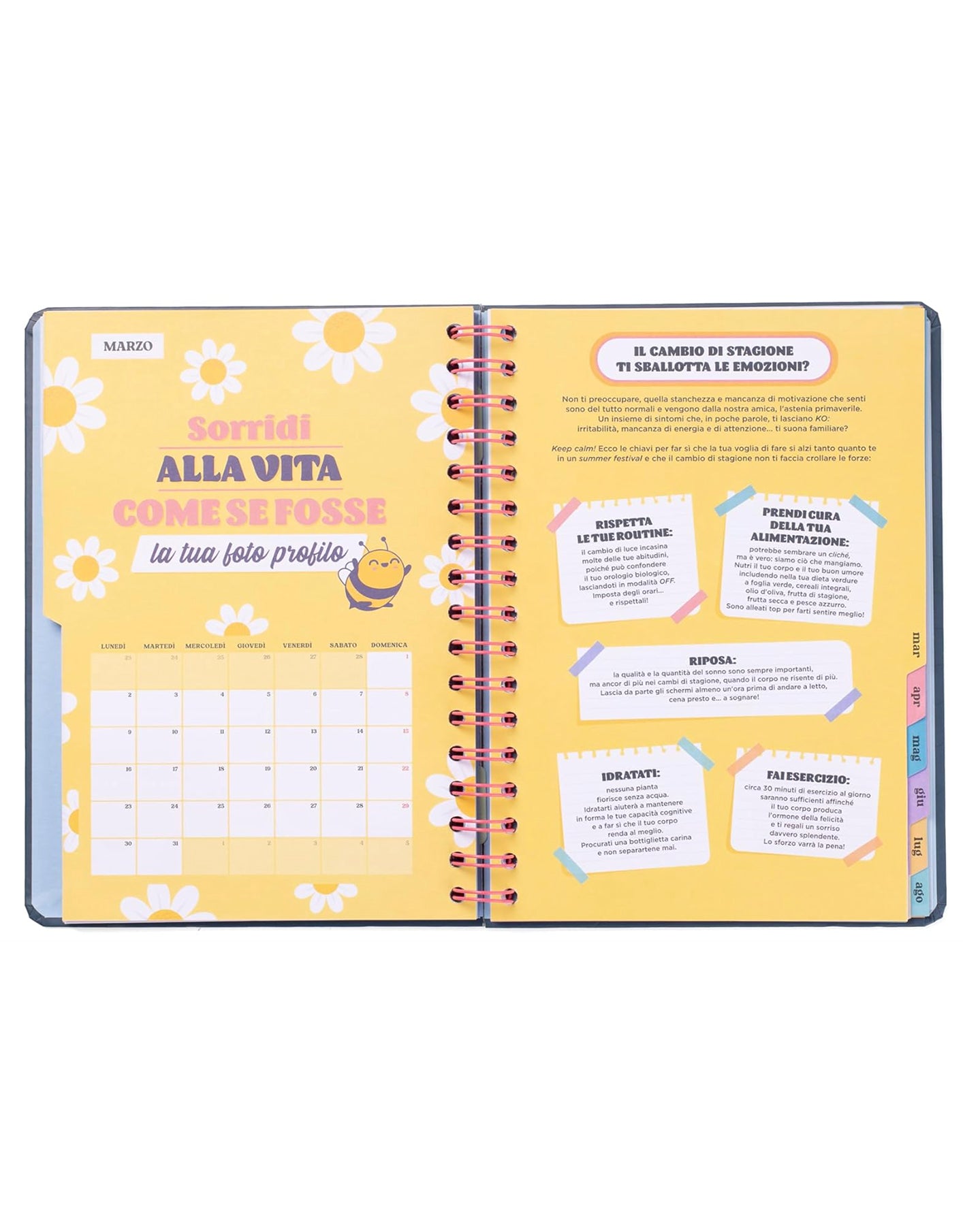 Diario Agenda Mr. Wonderful 2025-2026 Giornaliero – Progetti, illusioni e tante buone vibrazioni