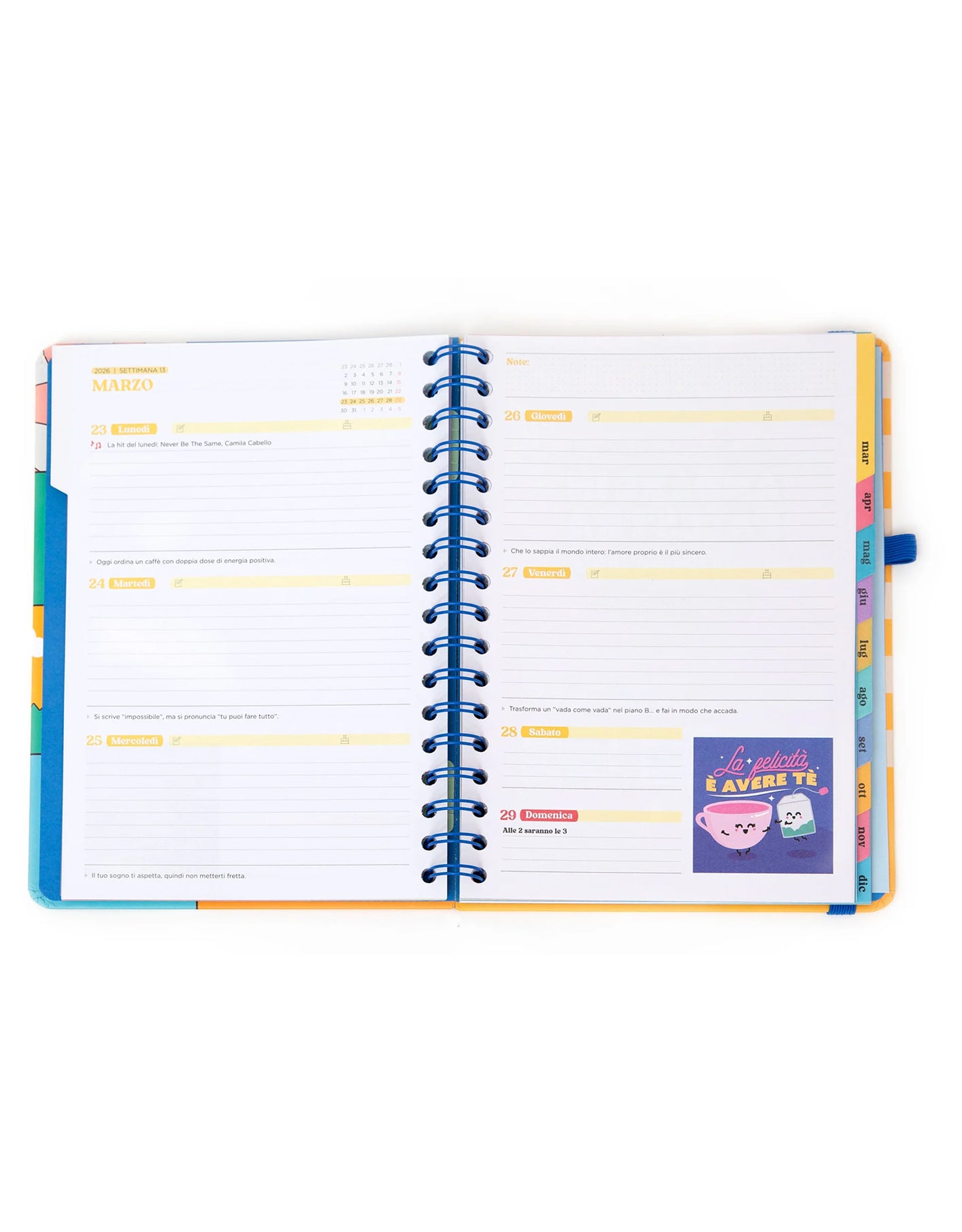 Agenda Wonder 2026 Settimanale – “Progetti Random” Mr. Wonderful